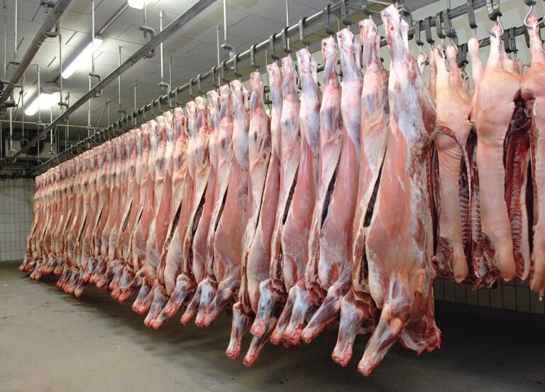 Nigeria Moves To Regulate Livestock Slaughter, Upgrade Meat Processing