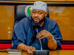 Bago: My Farm Pays Graduates N500,000 Monthly