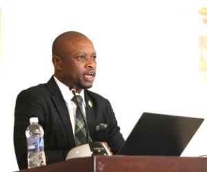 Zimbabwe Human Rights Commissioner Dies After Alleged Axe Attack