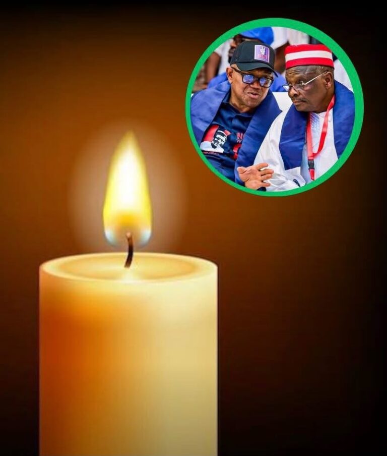 2027: Obi-Kwankwaso Campaign Loses Rivers Coordinator