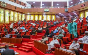 Senate Orders Audit Of Military Aircraft Fleet After Ondo Crash Kills 25