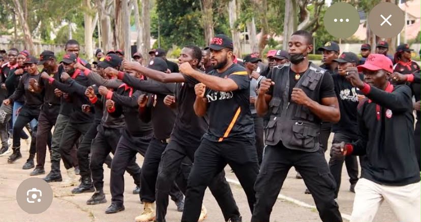 Security: Delta Deploys 1,000 Armed Forest Guards to Combat Banditry
