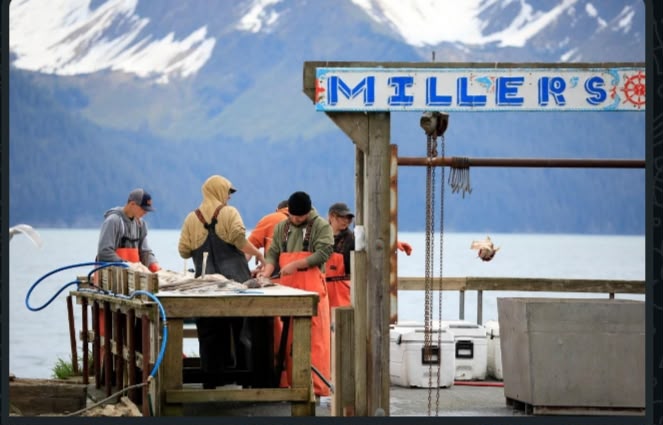 Alaska Fishing Crisis Could Decide Key US Senate Seat
